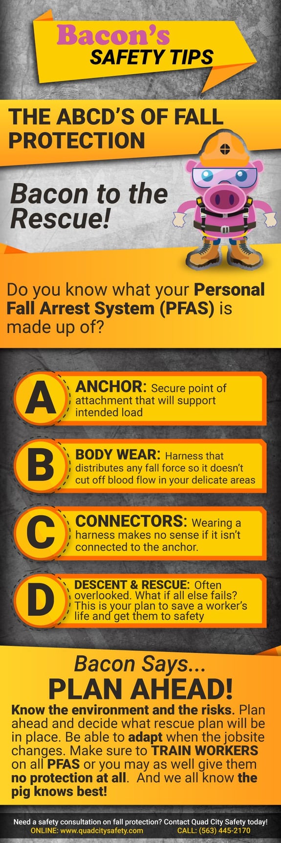 Bacon's Safety Tips The ABCD's of Fall Protection