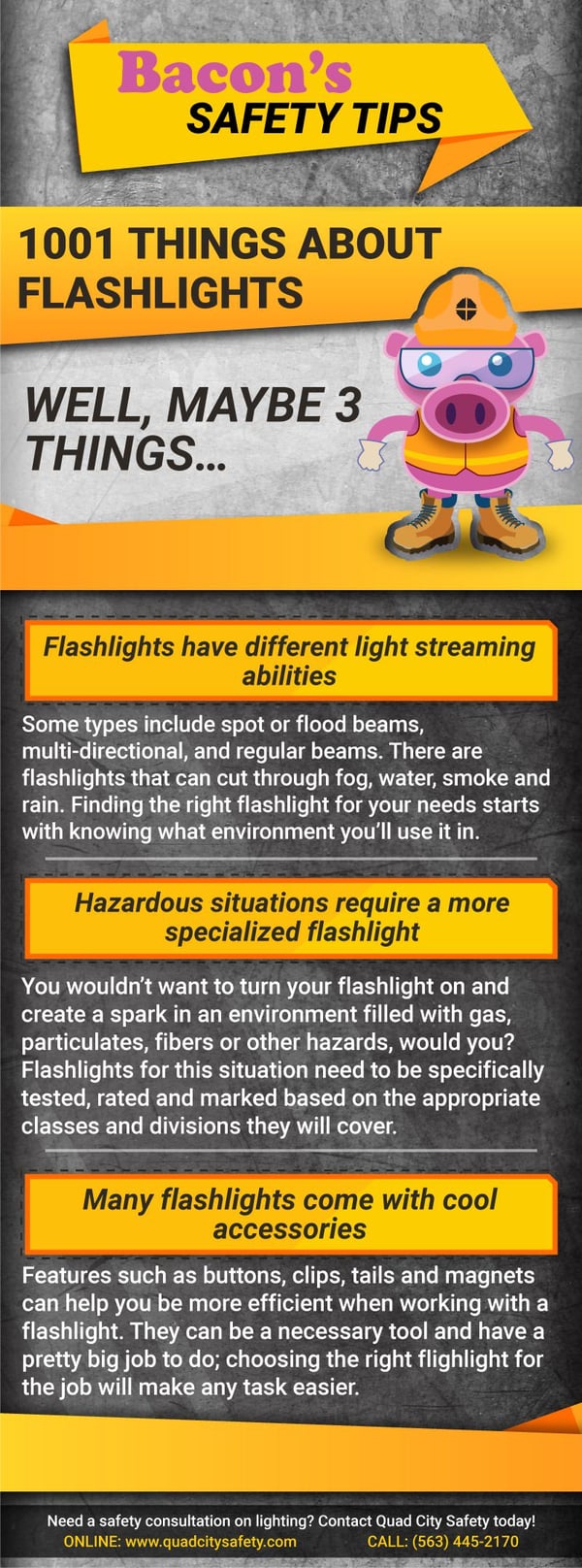 Bacon's Safety Tips 1001 Things About Flashlights