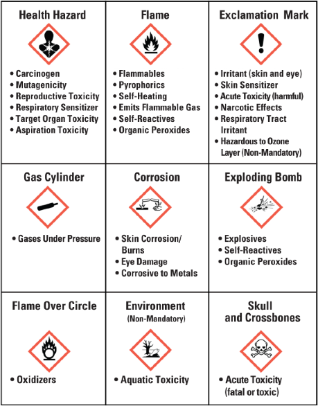 SDS Chart